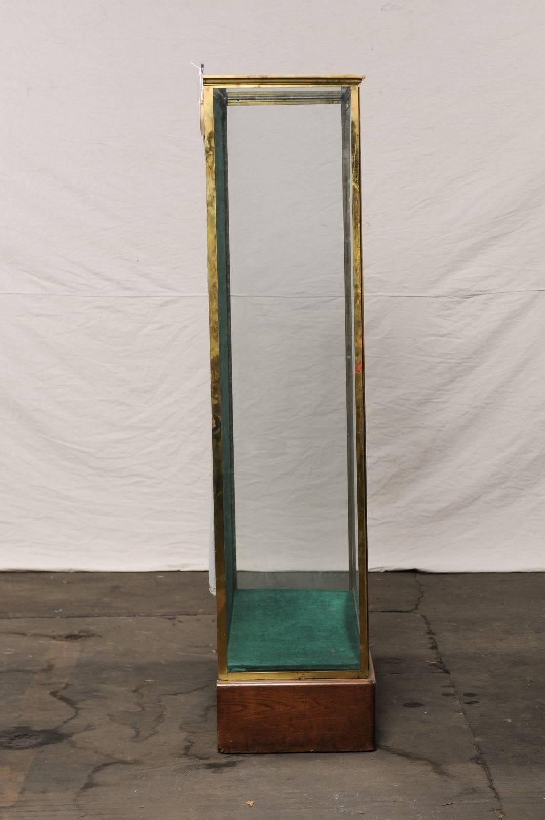 Early 20th Century Large Bronze and Glass Vitrine Cabinet 4