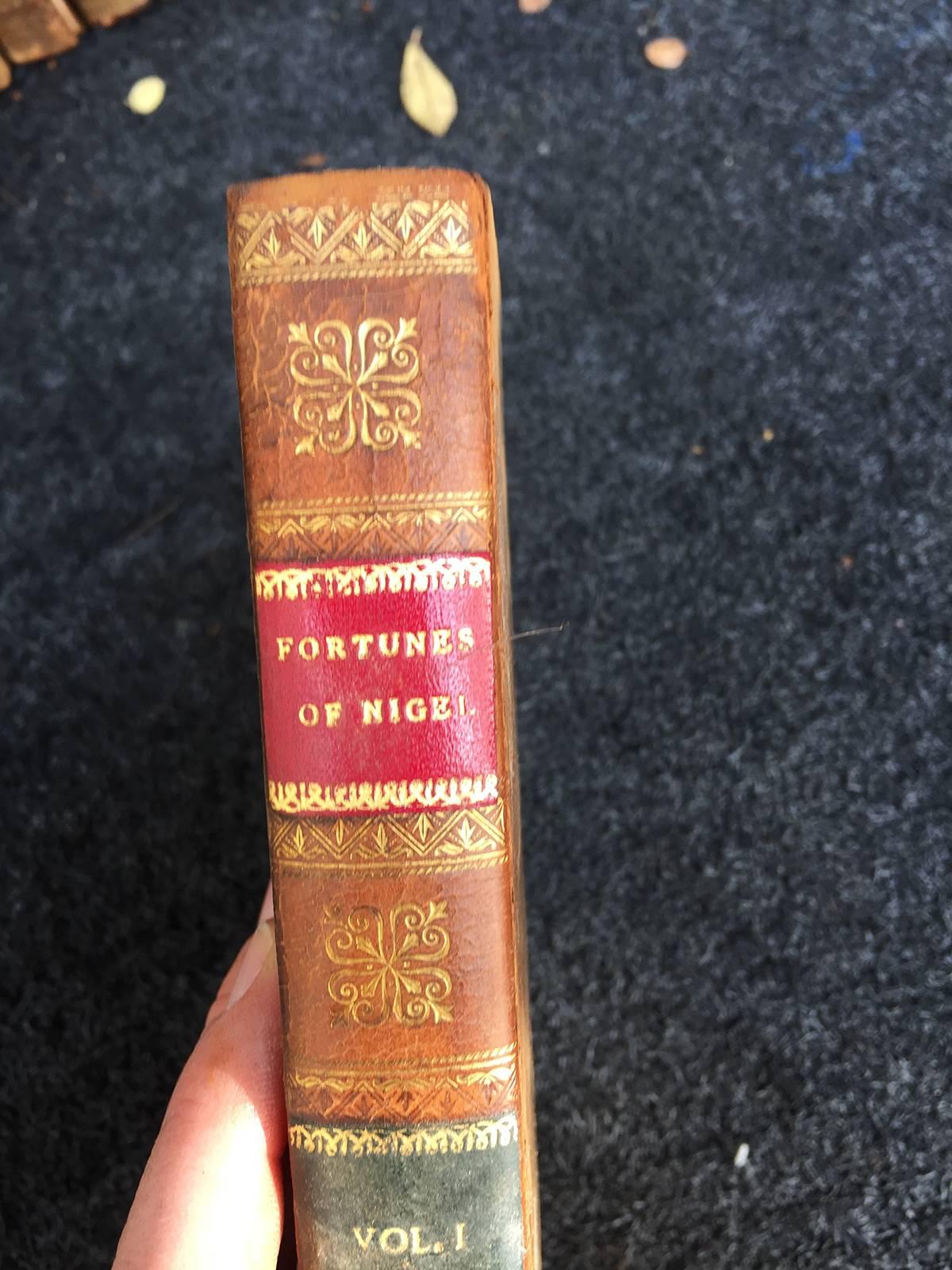 19th Century Group of 36, circa 1816-1828 Leather Bound Novels from Edinburgh, Scotland