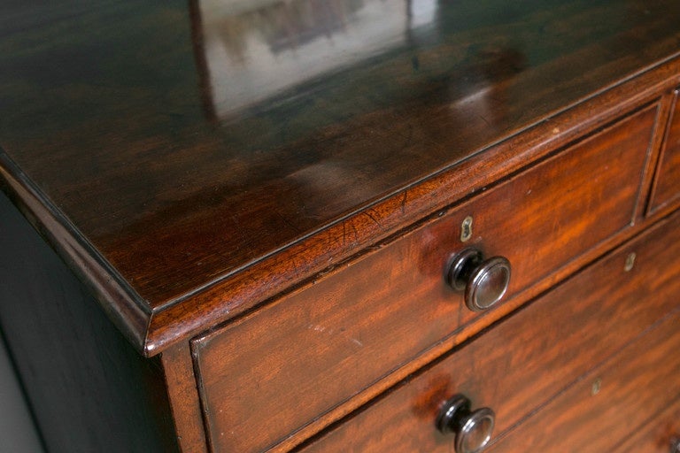 A solid mahogany five drawer chest on unusual ringed bun feet. English c.1830.