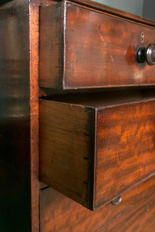 Great Britain (UK) Solid Mahogany Five-Drawer Chest on Ringed Bun Feet For Sale