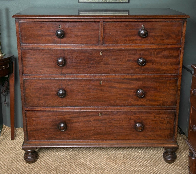 Mid-19th Century Solid Mahogany Five-Drawer Chest on Ringed Bun Feet For Sale