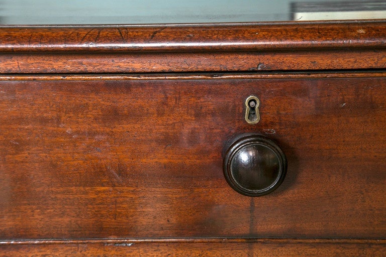 Solid Mahogany Five-Drawer Chest on Ringed Bun Feet For Sale 2