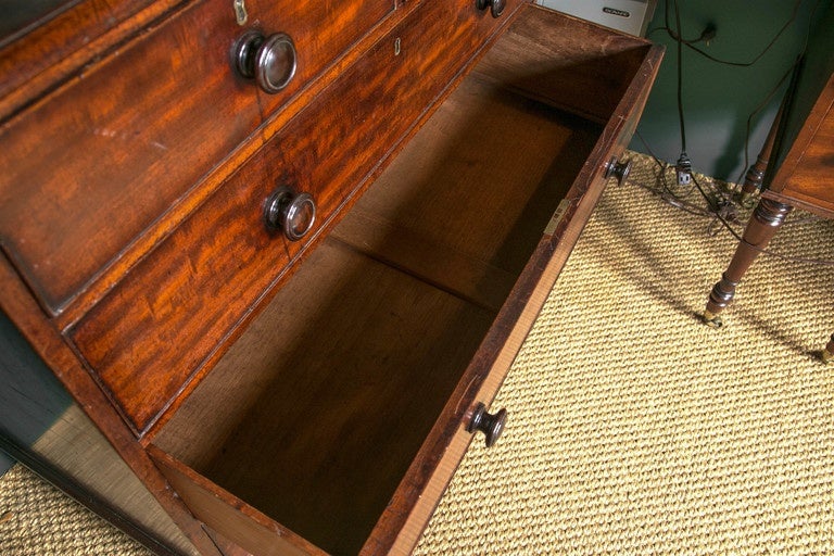 Solid Mahogany Five-Drawer Chest on Ringed Bun Feet For Sale 3