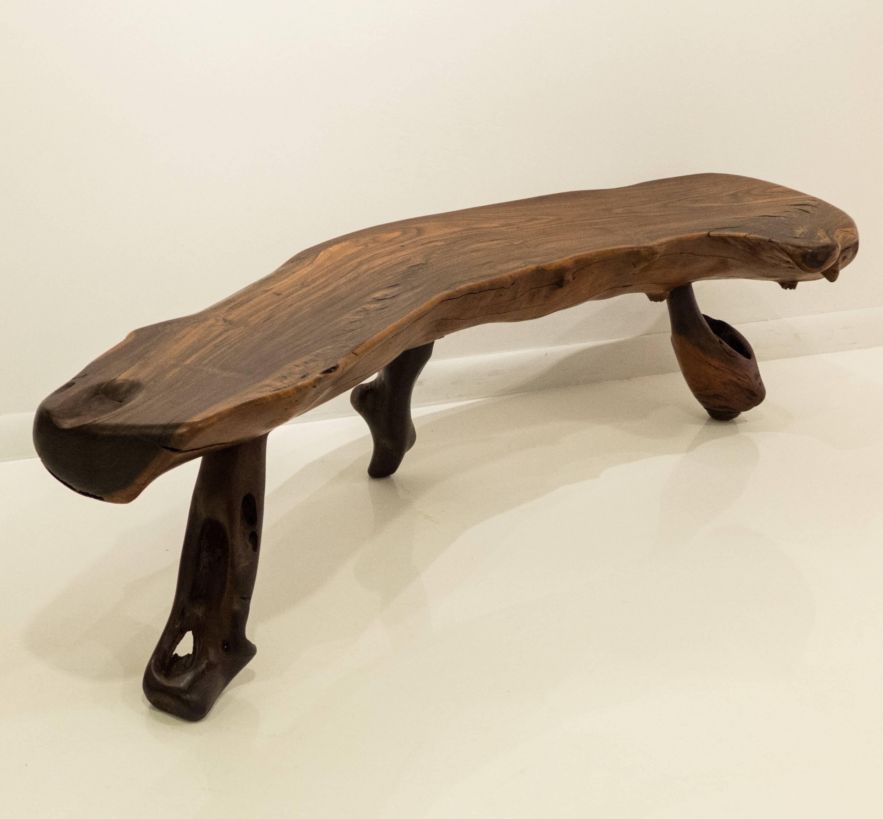 Sculptural bench or table in solid Brazilian rosewood with Brazilian rosewood burl legs. Purchased in Mexico, 1960s. A well-crafted piece featuring a spectacularly grained, polished live-edge top with three burl legs each with its own abstract