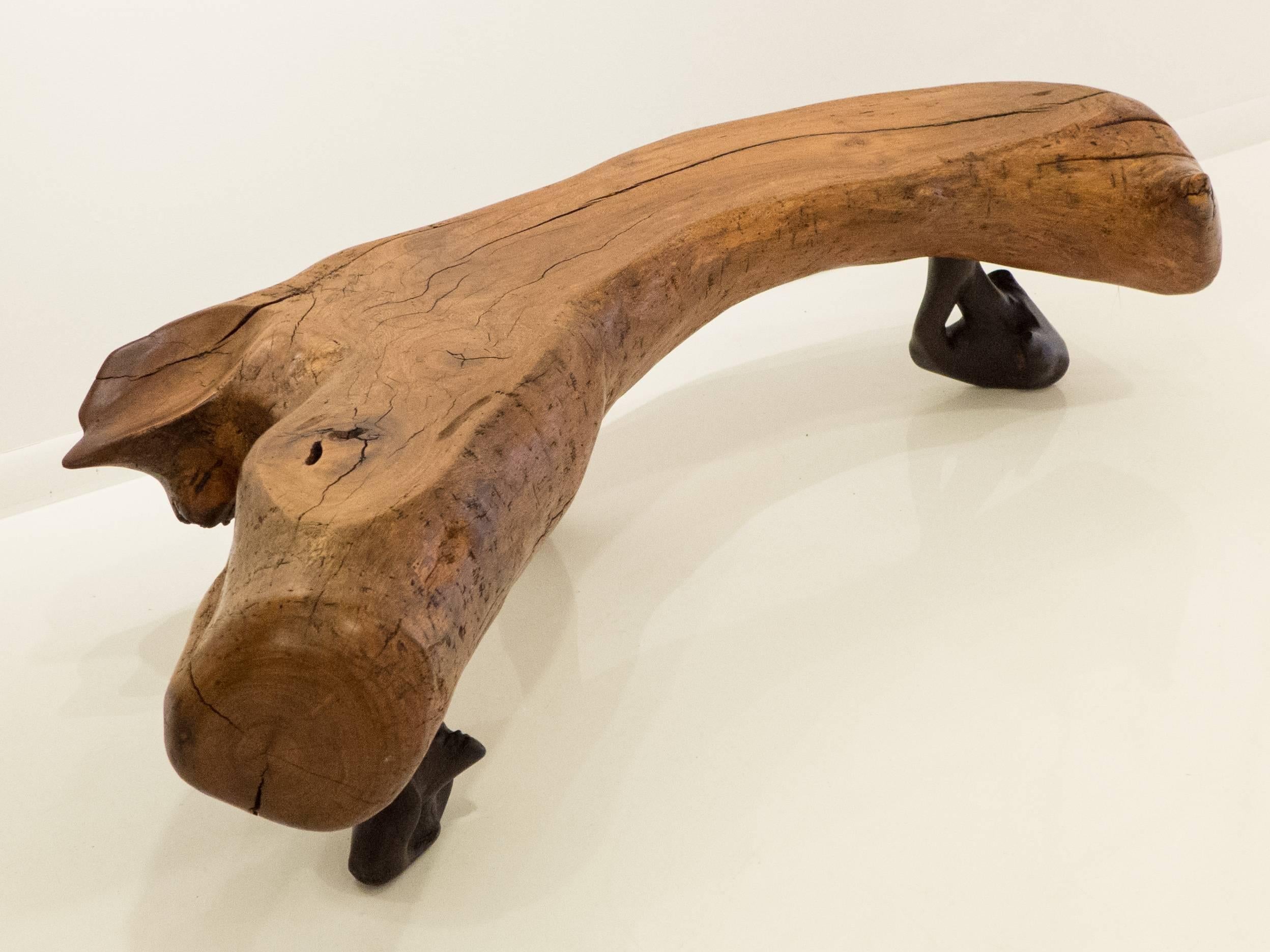 Dramatic and vaguely anthropomorphic, live edge bench or table comprising a curvilinear Sabino wood trunk section with a fork at one end, mounted on three sculptural burl rosewood legs each with its own sculptural character, attached with mortise