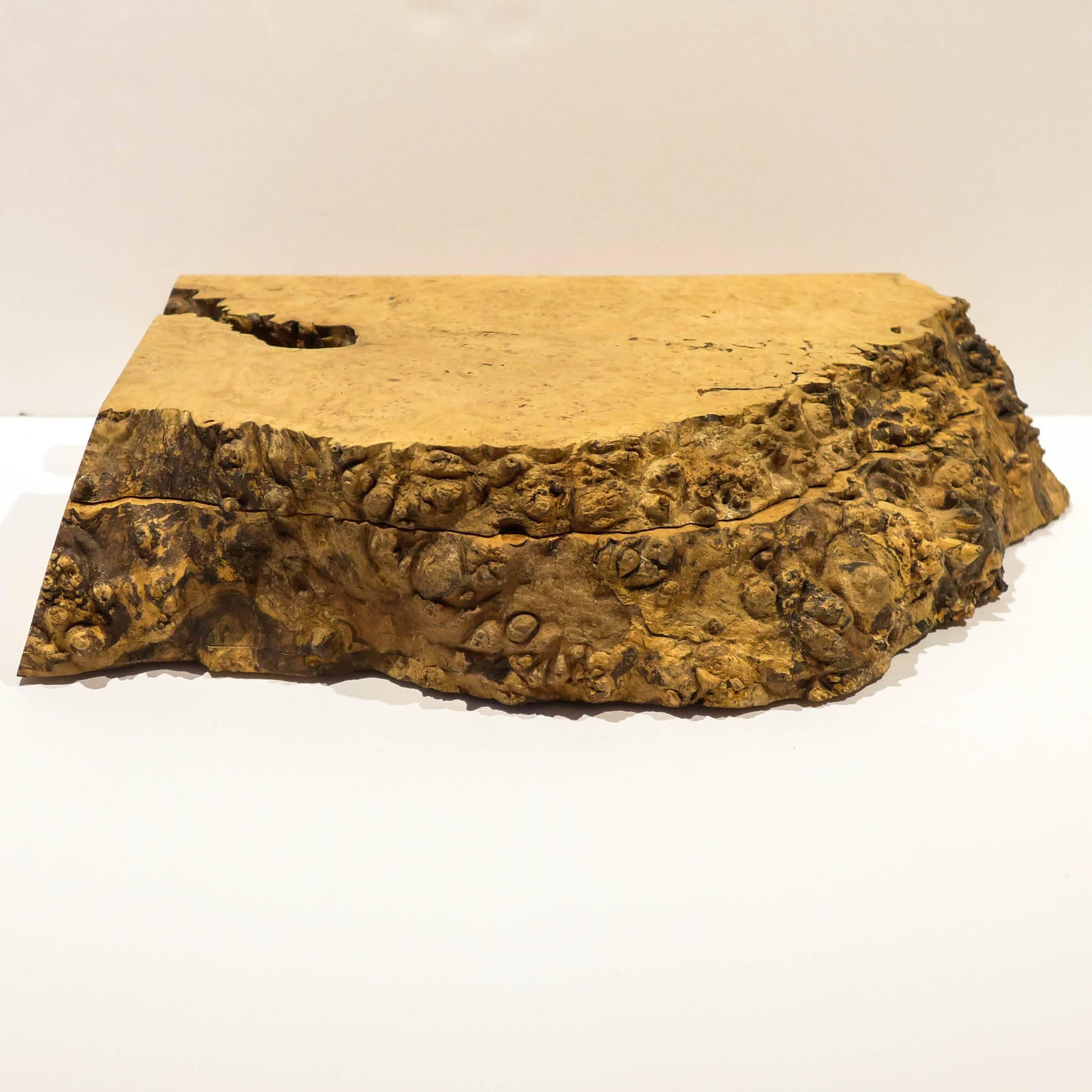 Hinged, free-edged box of Oregon bird's-eye maple burl, with segmented interior, by master woodworker Michael Elkan. Elkan opened his Oregon studio in 1980 and created wooden furniture and accessories until turning to other pursuits in 2002. His