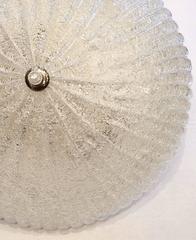 Molded Glass Light Fixture