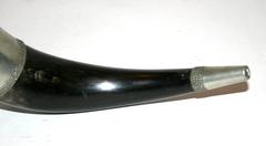 Horn Hunting Trophy Mounted as Lamp