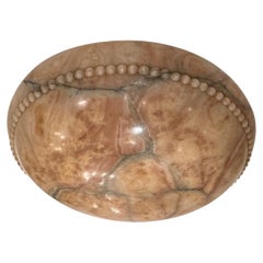 Antique Amber Neoclassic Alabaster Light Fixture