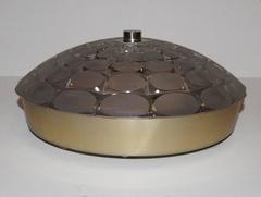 Molded Glass Light Fixture