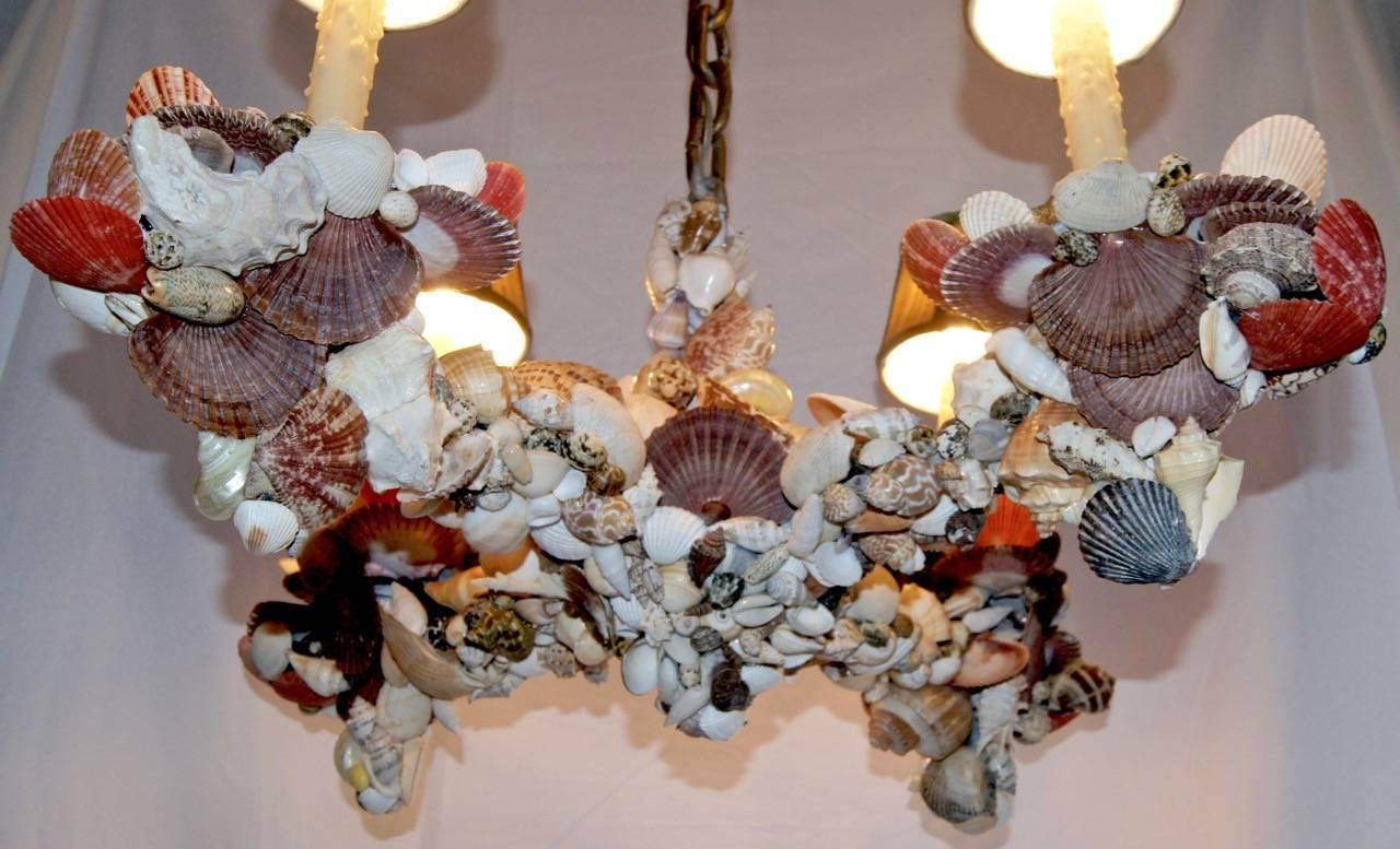 vintage seashell chandelier