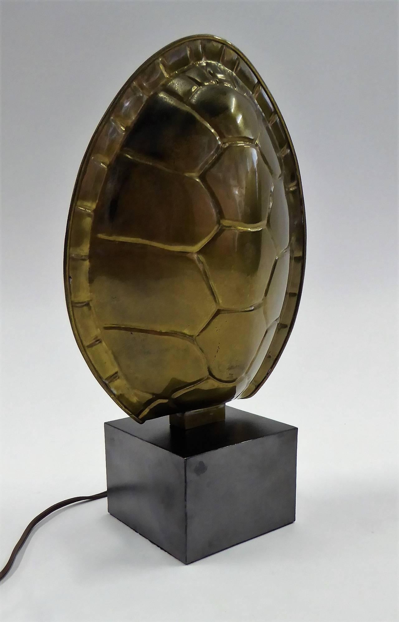 tortoise shell lamps
