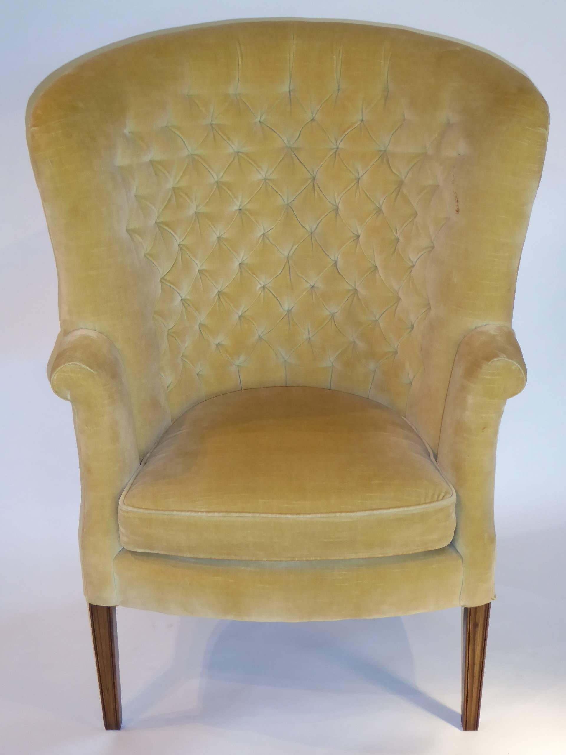 Wonderful scale, high back and squat tufted velvet wingback chair, a 1950s creation from century. Original velvet fabric with one pictured stain on a shoulder. New fabric suggested. Straight and tapered walnut legs. Measurements: 46