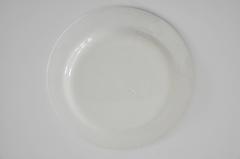 Antique Transferware Plate