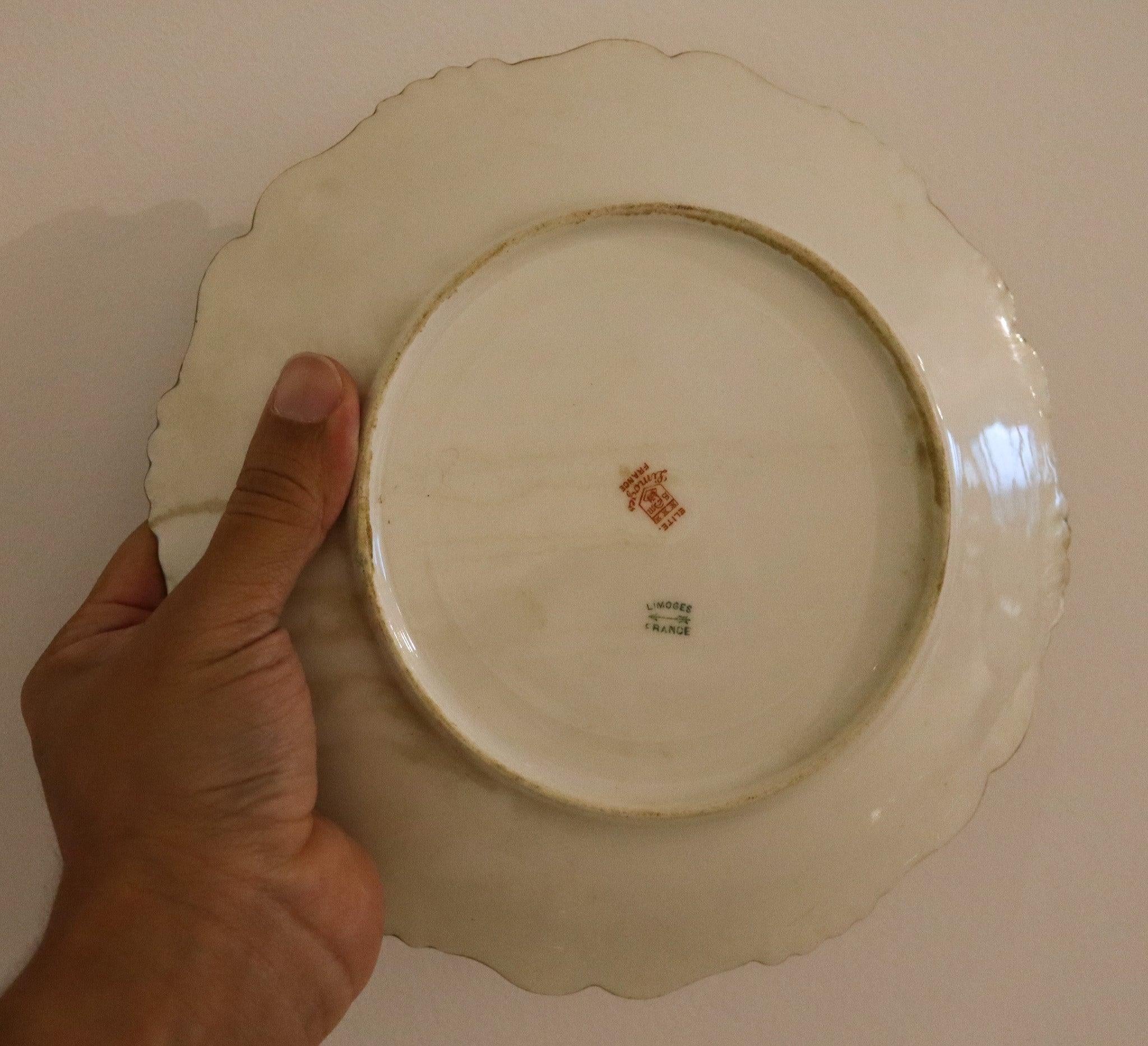 LIMOGES Frankreich 1900 Elite Set aus weißem Porzellangeschirr und Tablett für Fisch im Angebot 4