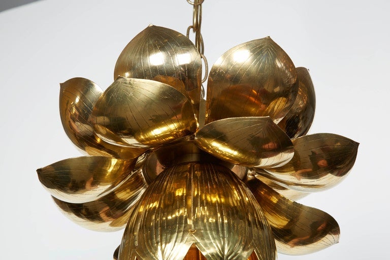 Lovely set of three polished brass lotus lamps. The lotus in this version has a top tier of upturned petals over downturned petals. The pendants hang individually and are sold as a set. Please contact for location.