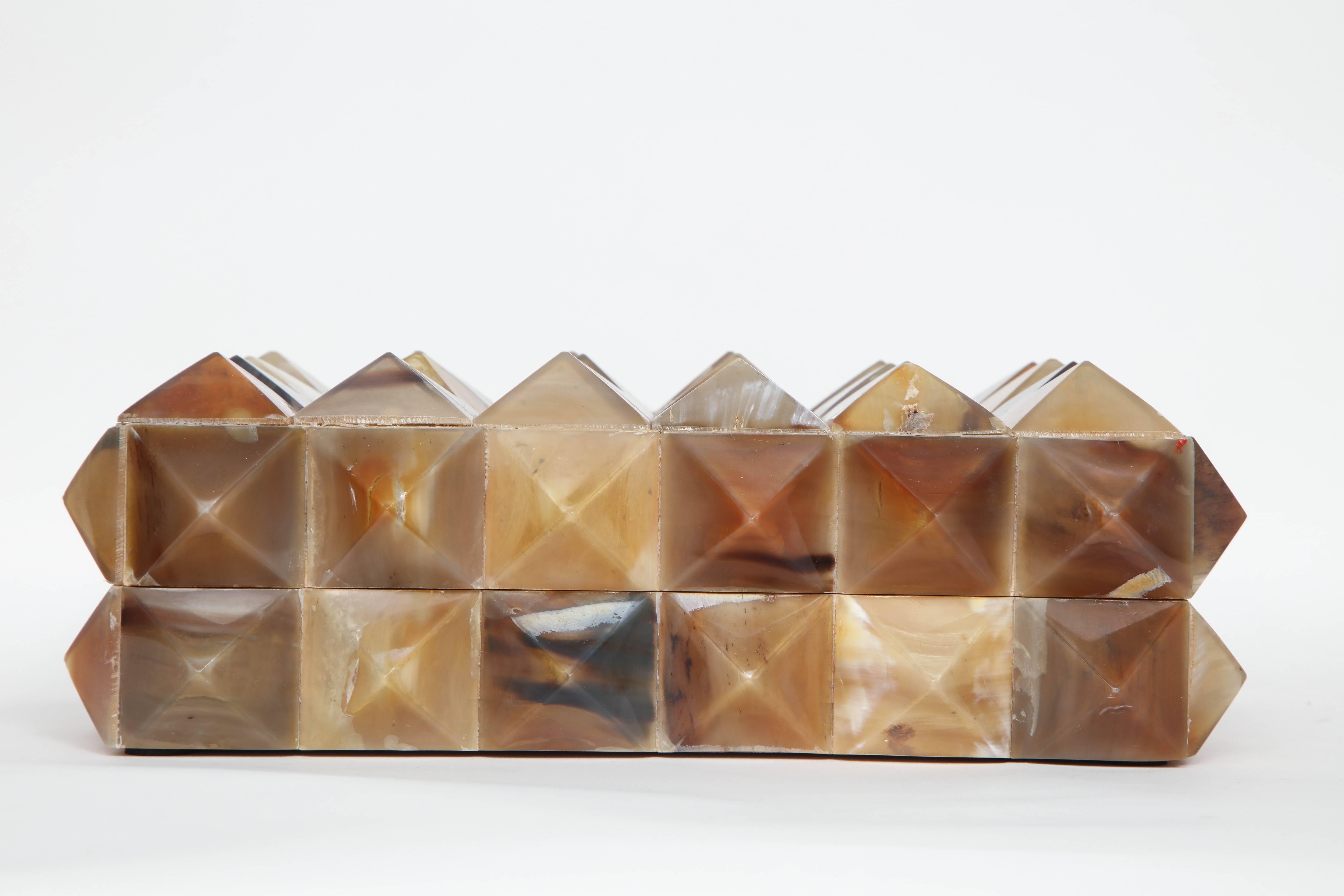 Modern Pyramidal Horn Embellished Box