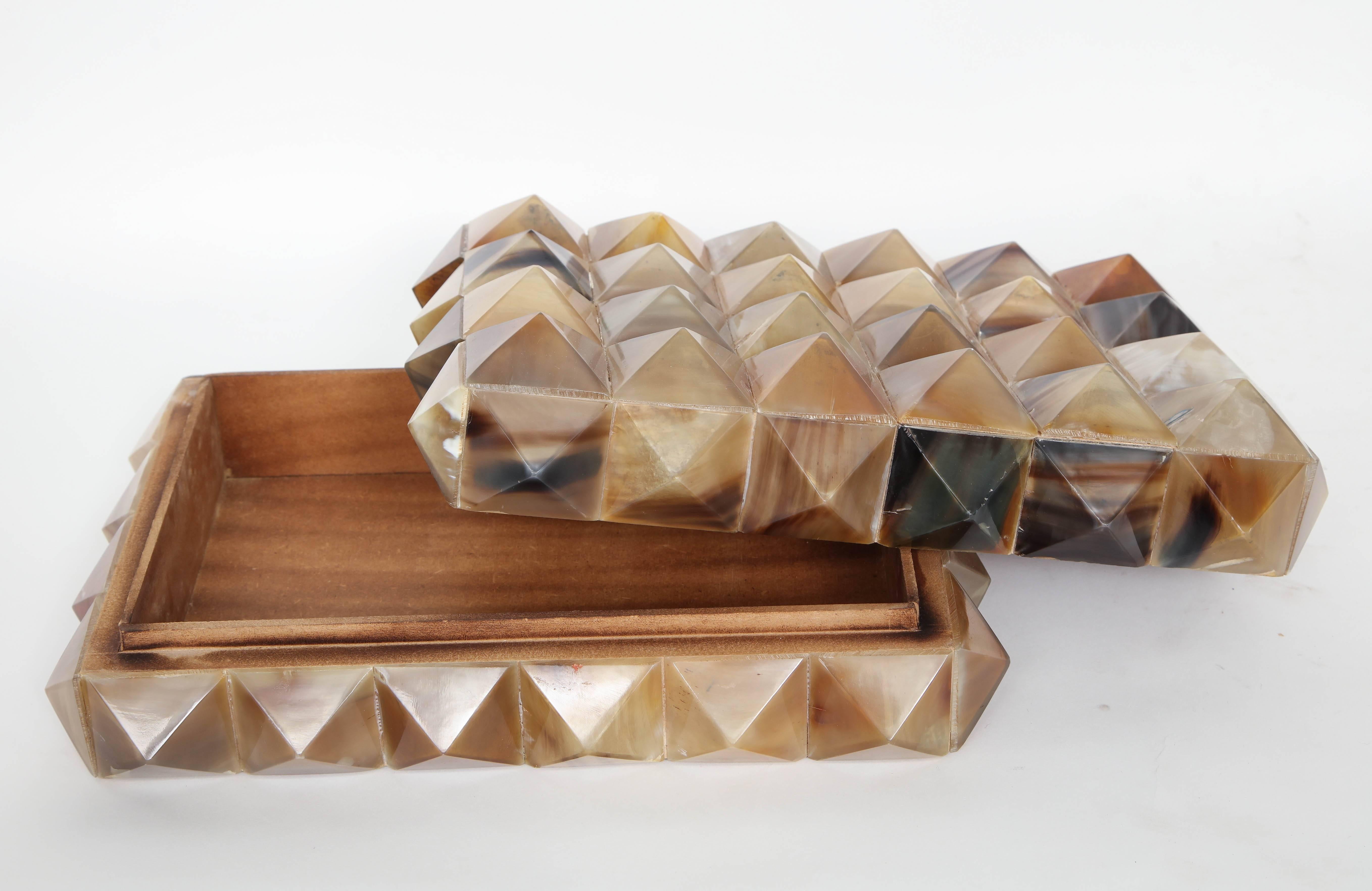 Pyramidal Horn Embellished Box 1