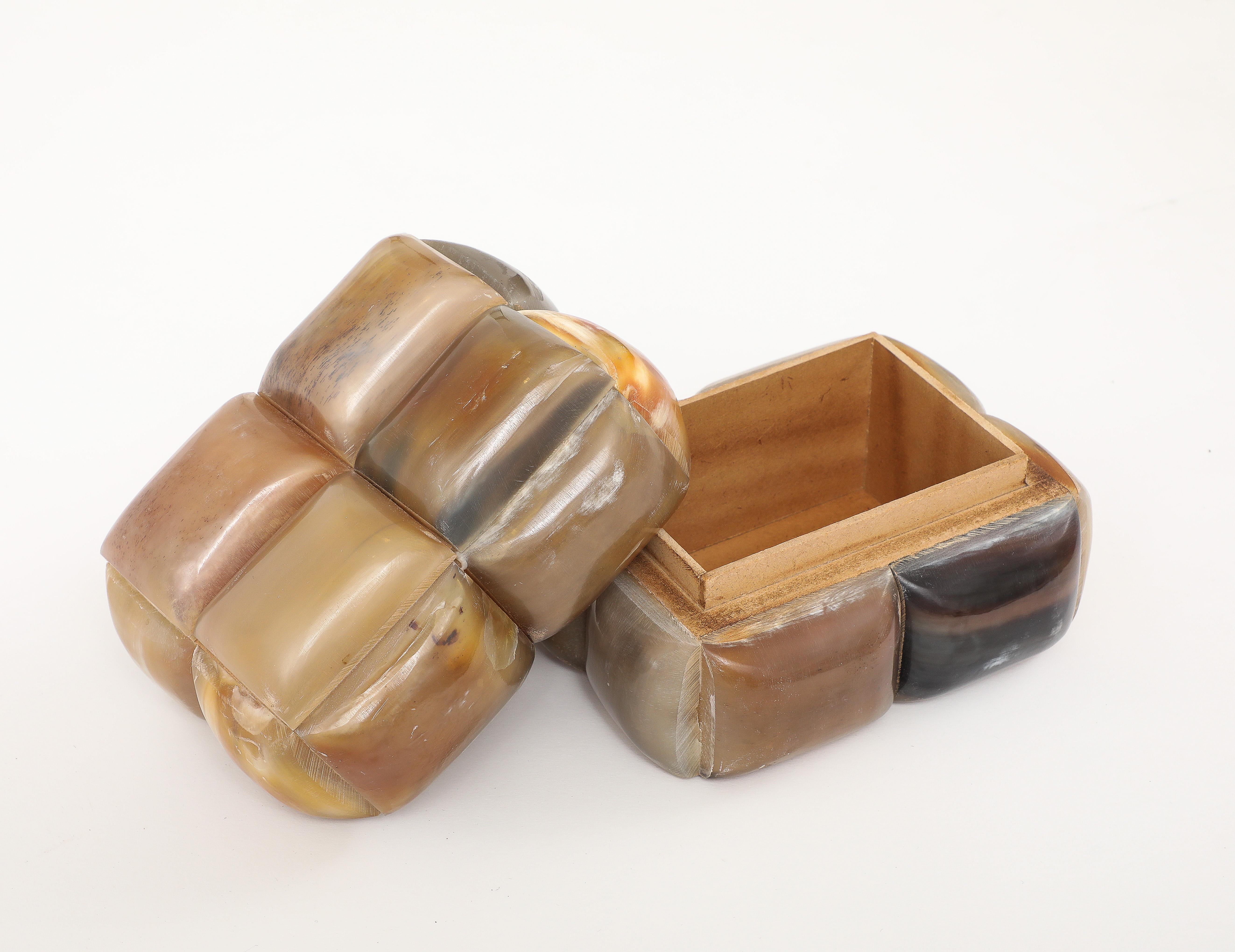 Natural Horn Keepsake Box For Sale 1