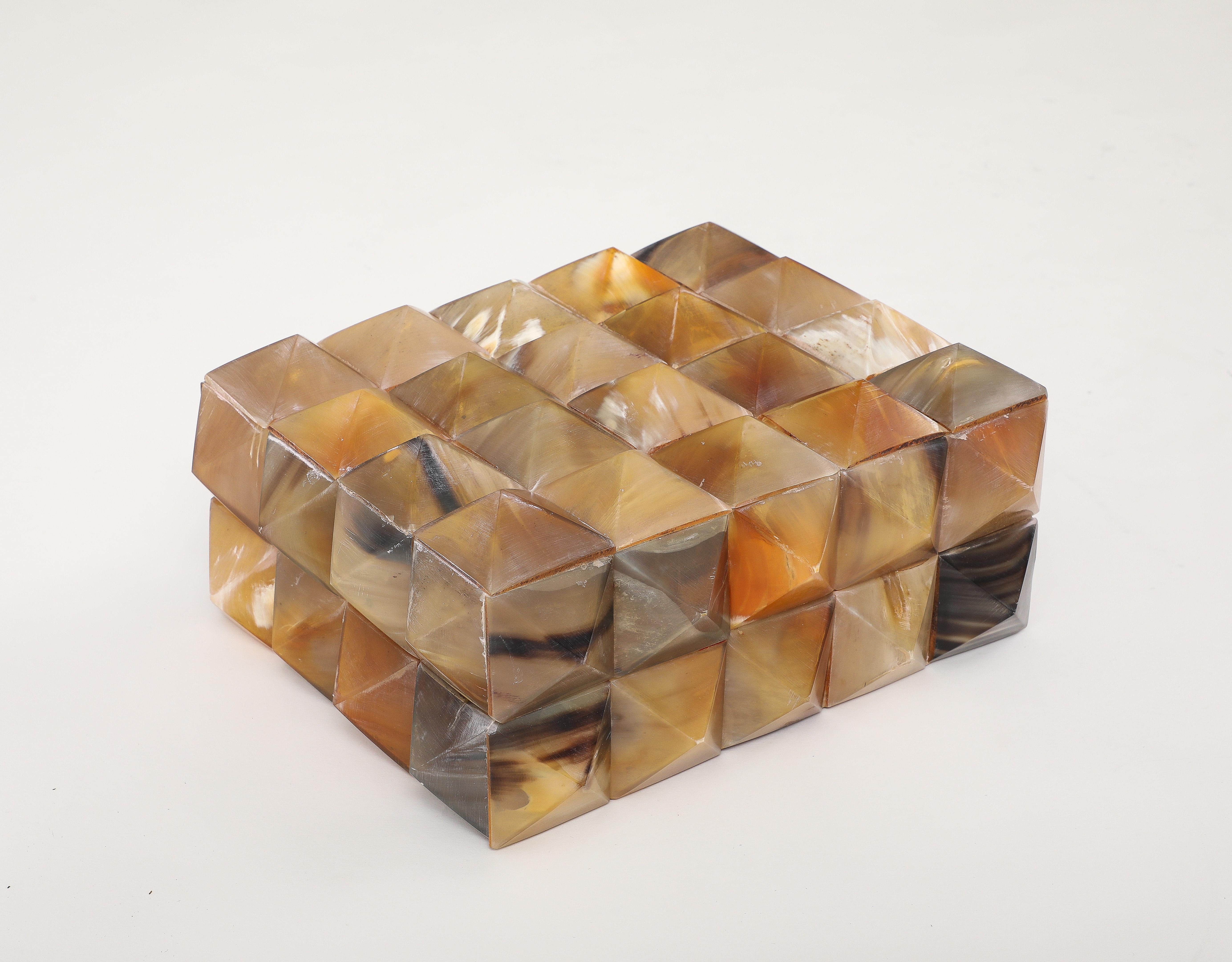 Large Pyrimidial Horn Box For Sale 2