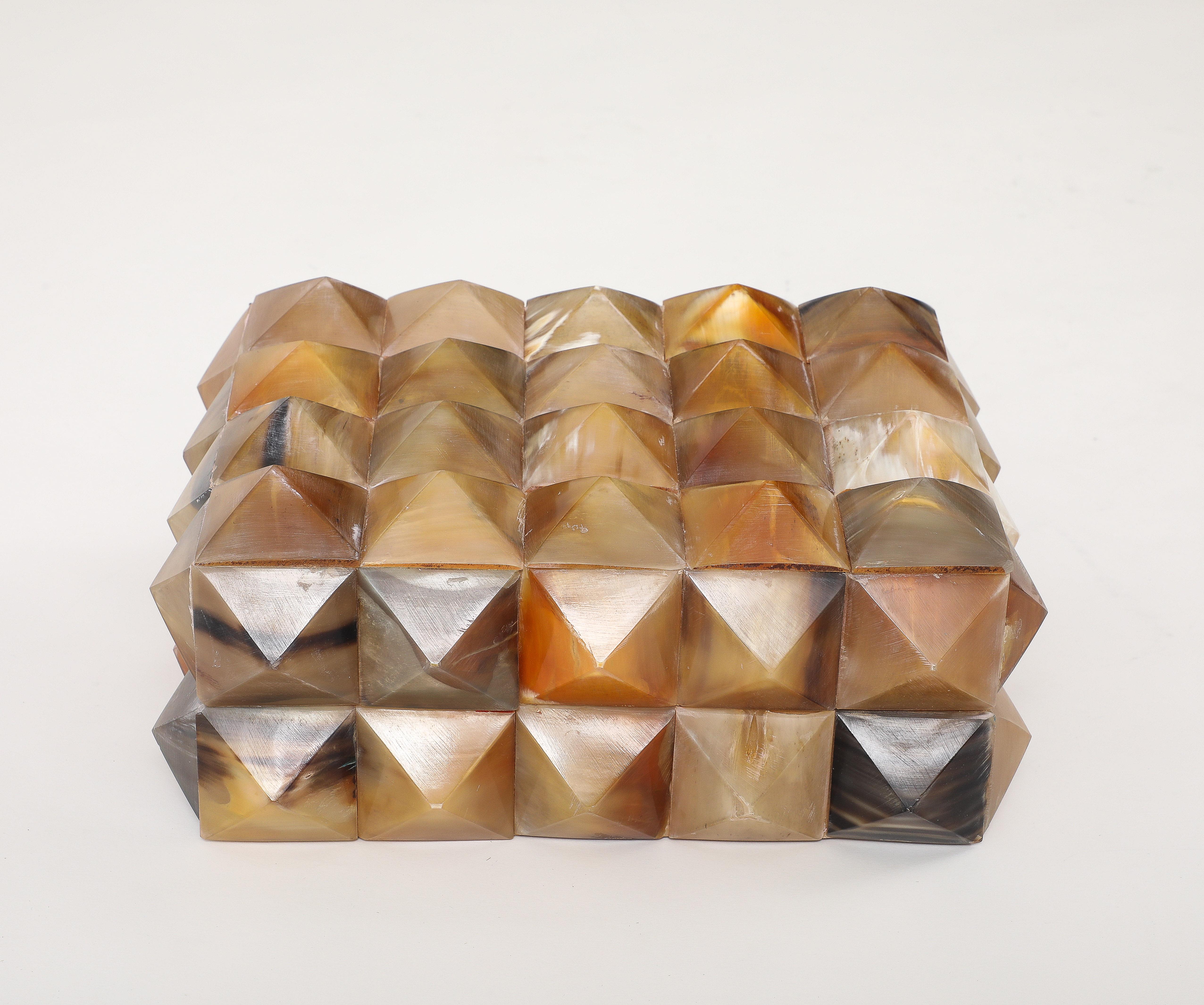 Large Pyrimidial Horn Box For Sale 3