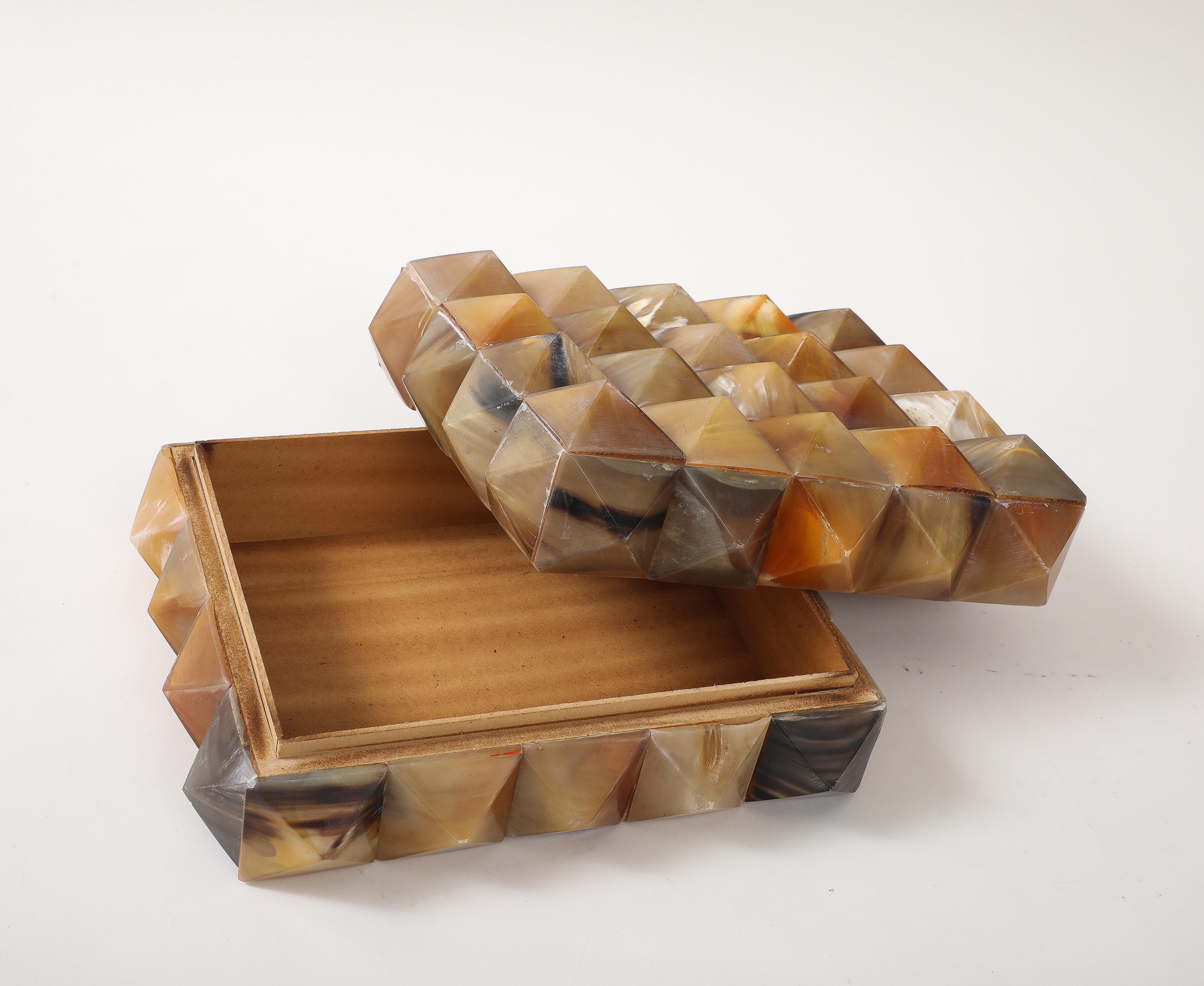 Large Pyrimidial Horn Box For Sale 5