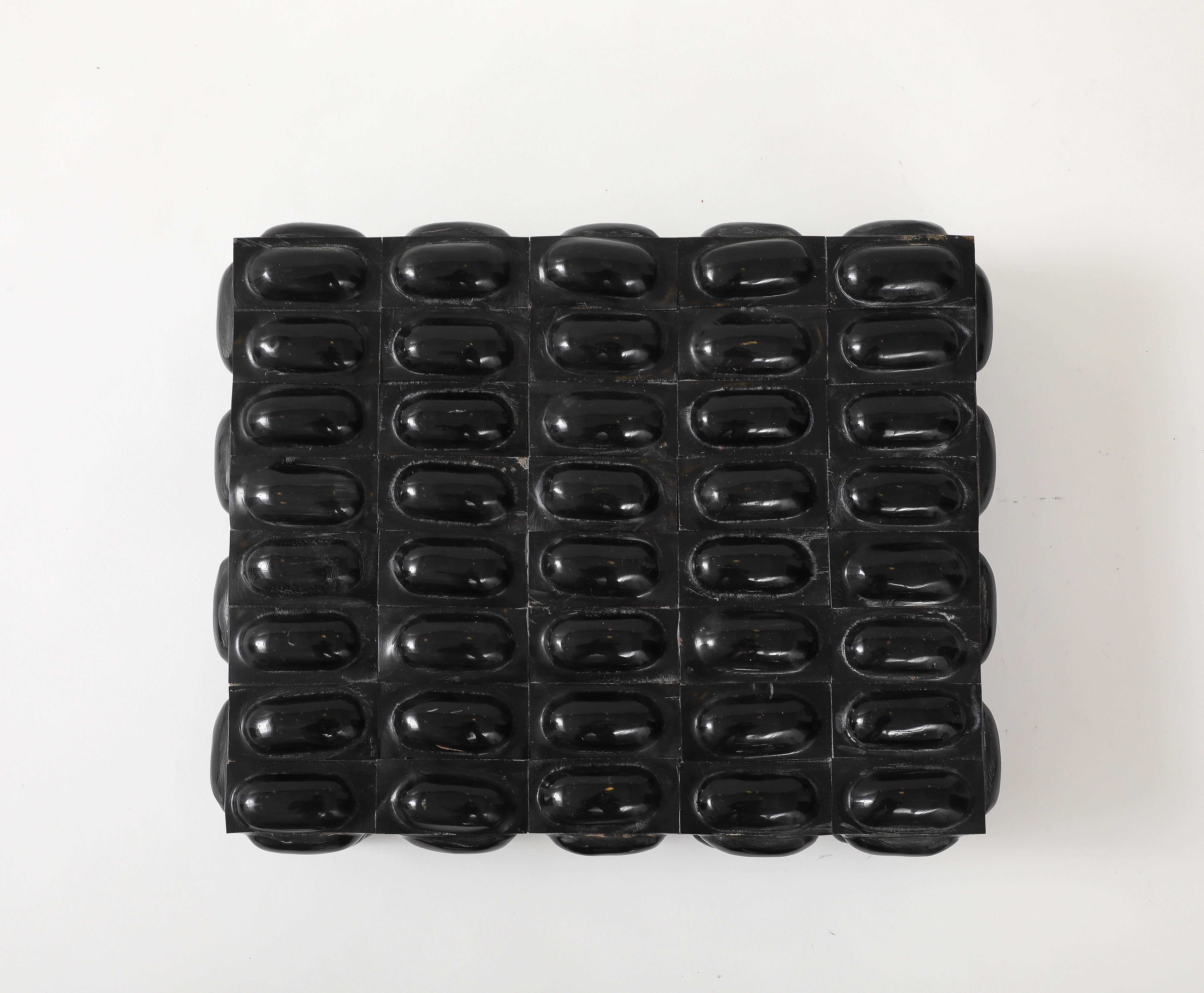 XL Black Buffalo Horn Box For Sale 1