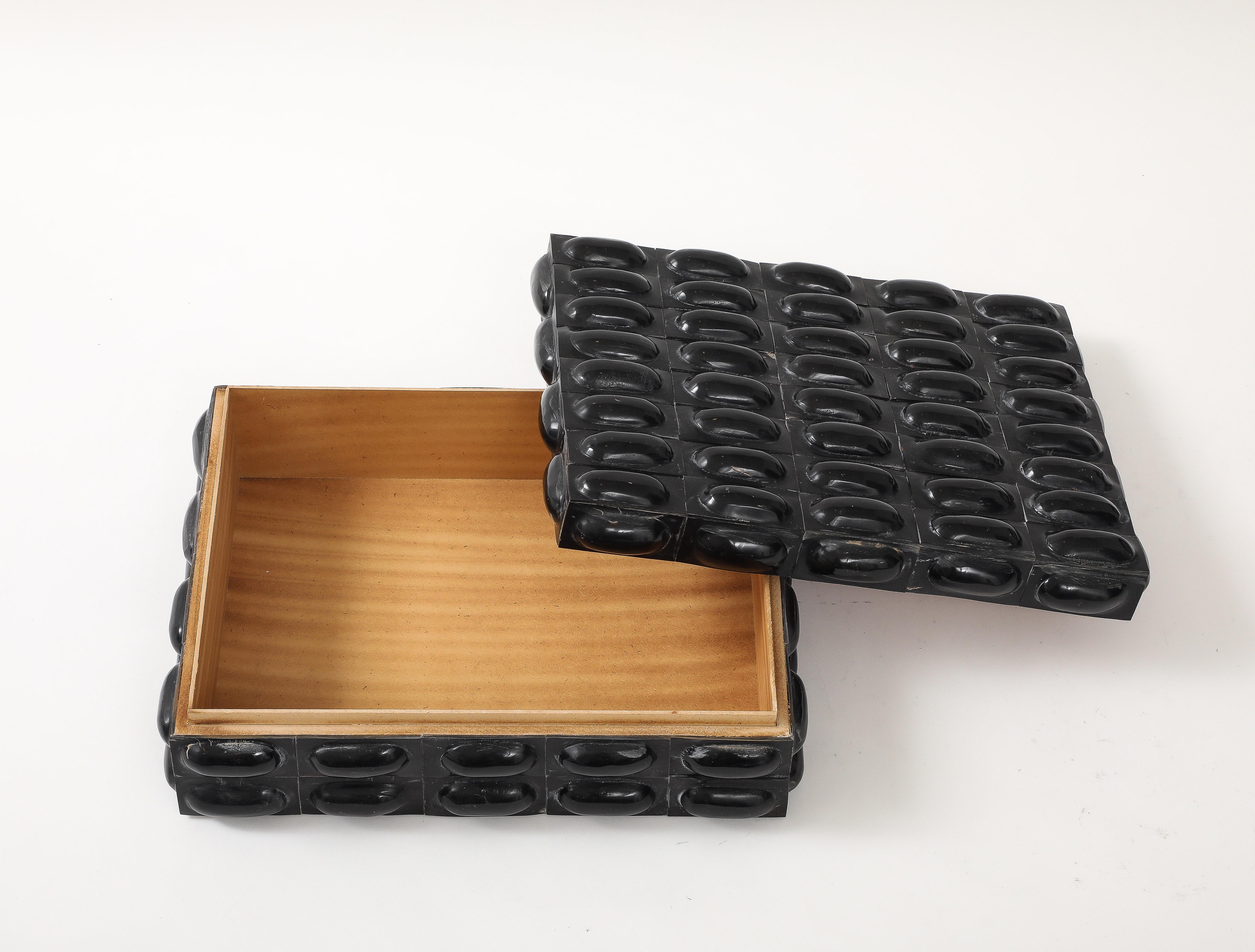 XL Black Buffalo Horn Box For Sale 4