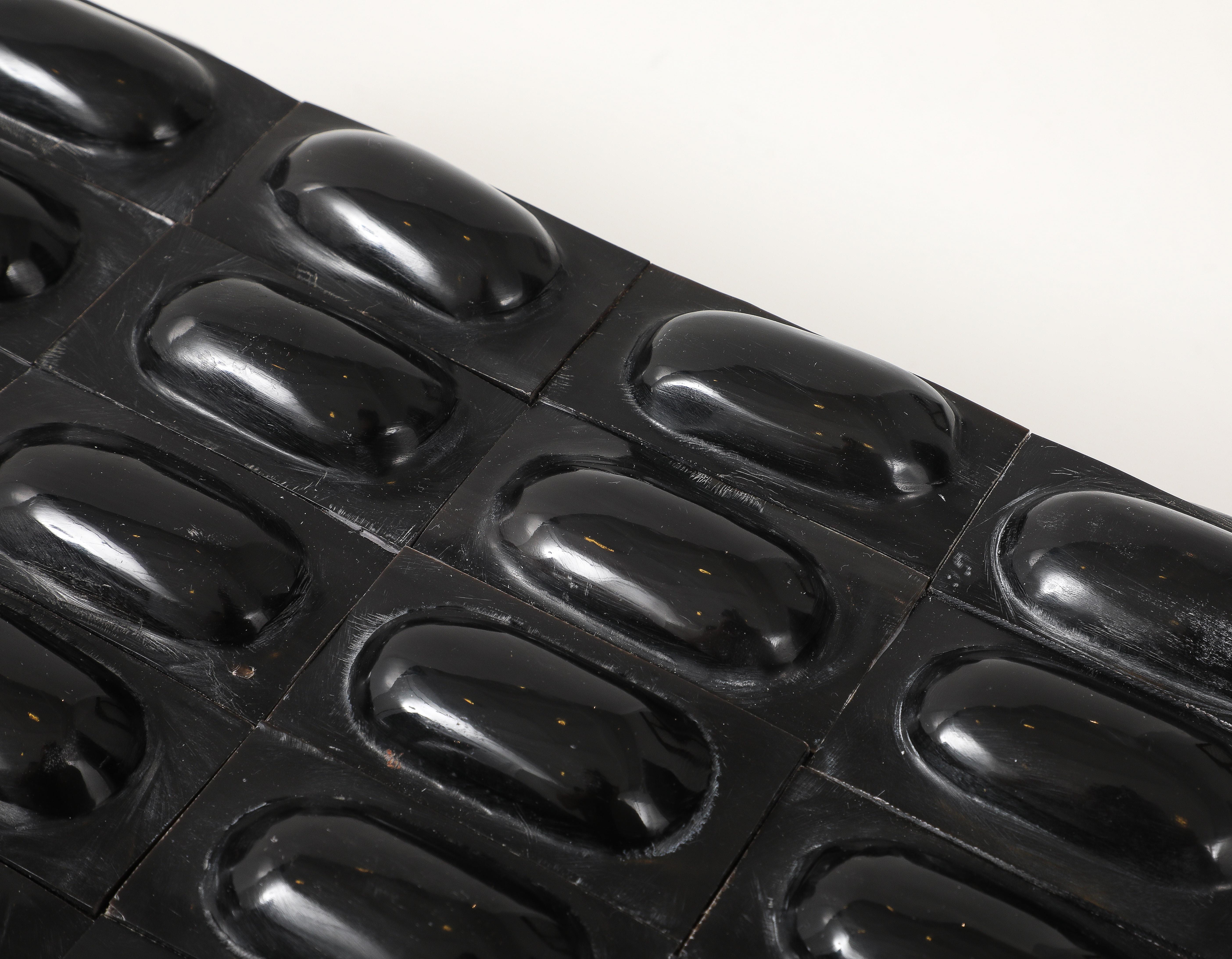 XL Black Buffalo Horn Box For Sale 3