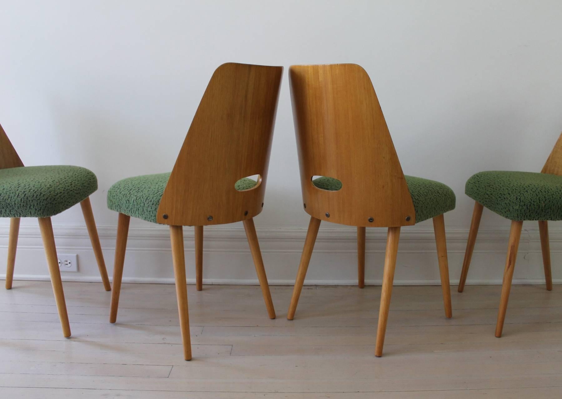 Czech Dining Chairs by TON