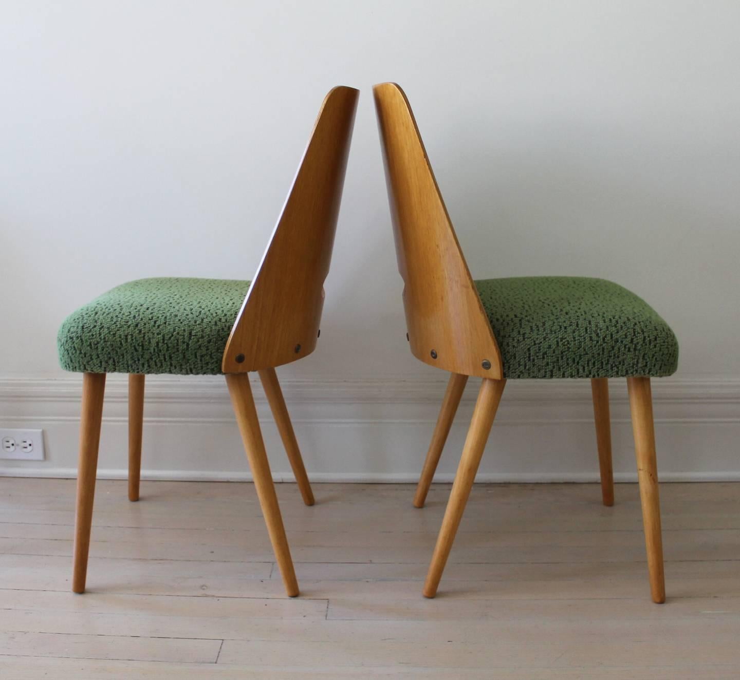 Lacquered Dining Chairs by TON