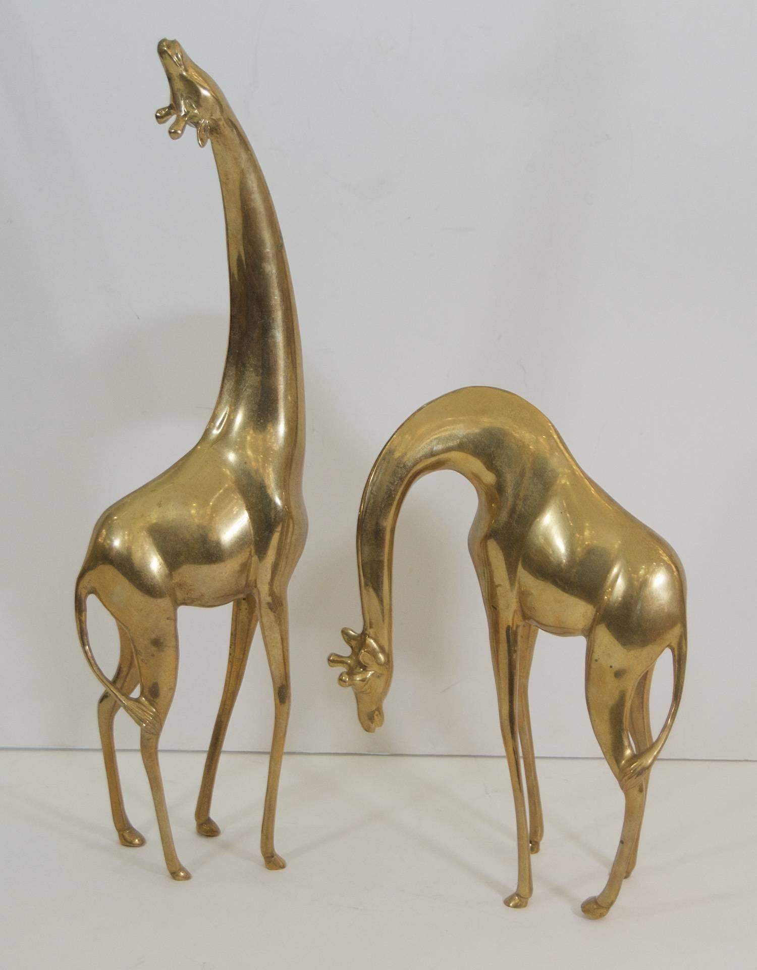 Generously sized pair of elegant giraffes in brass.

Dimensions listed are of larger giraffe.