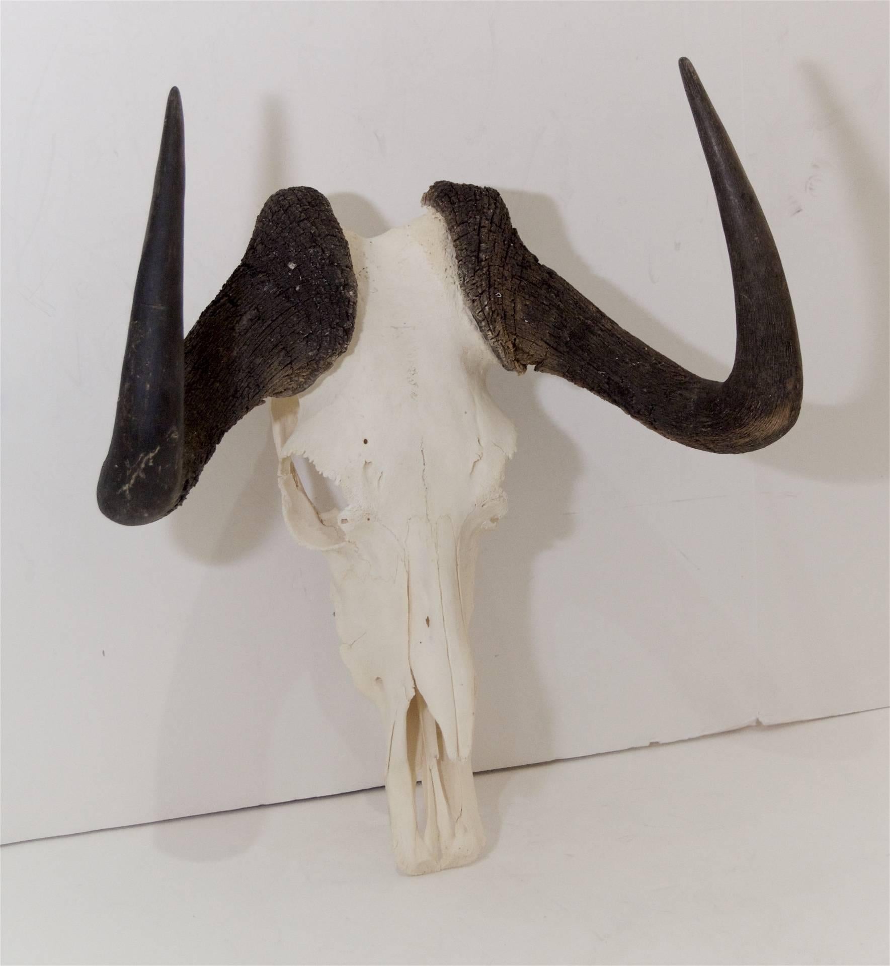 wildebeest sculpture