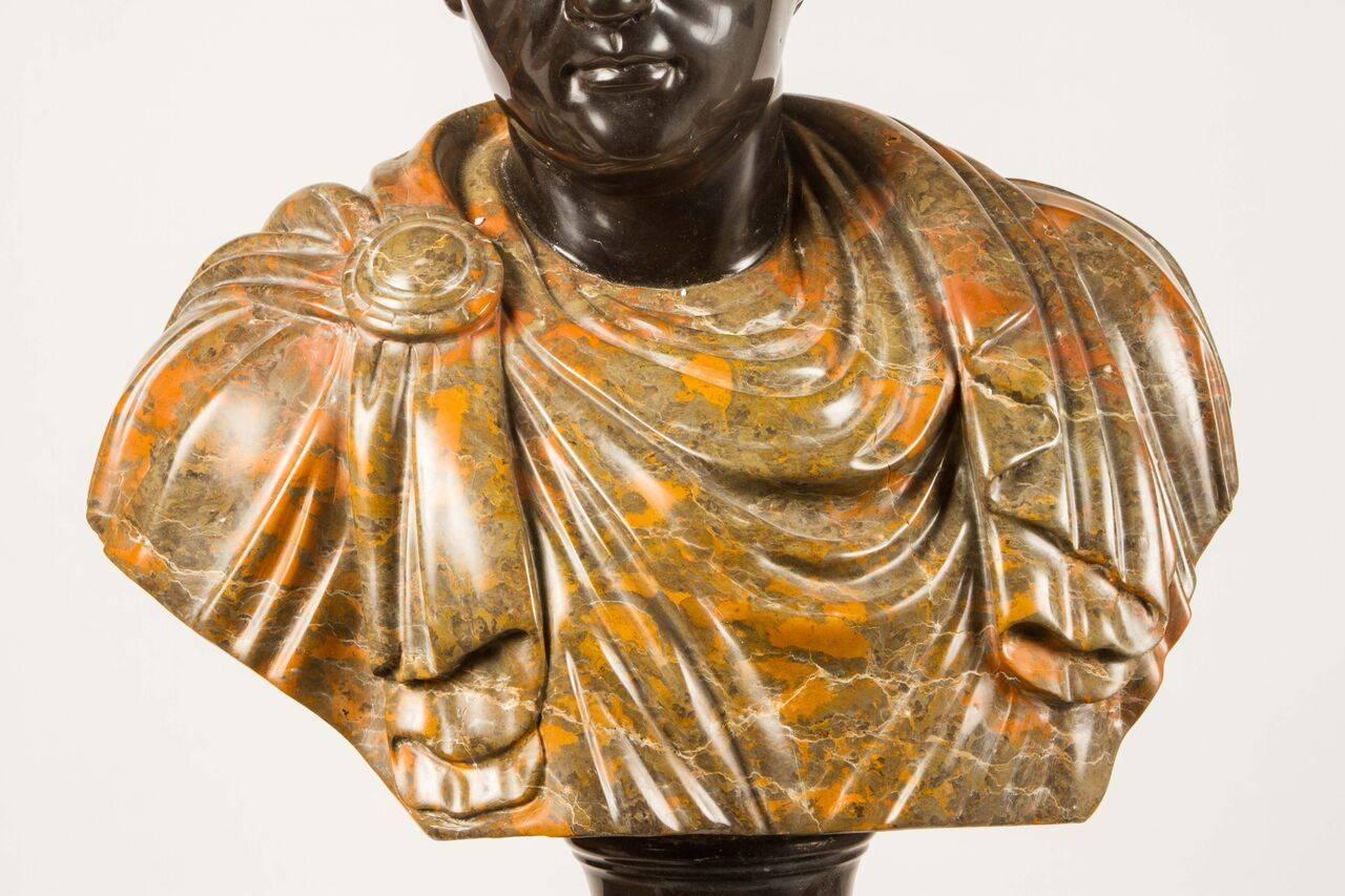 Beautiful bust representing a cloaked Roman figure. Elegant in any sitting room or library.