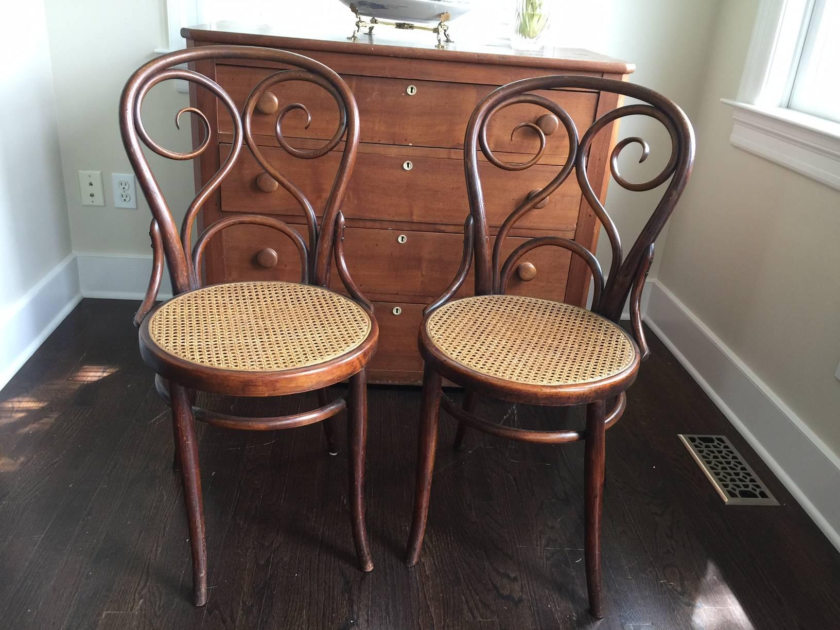 Set of Ten Turn-of-the-Century Bentwood Dining Chairs by Thonet In Good Condition In East Hampton, NY