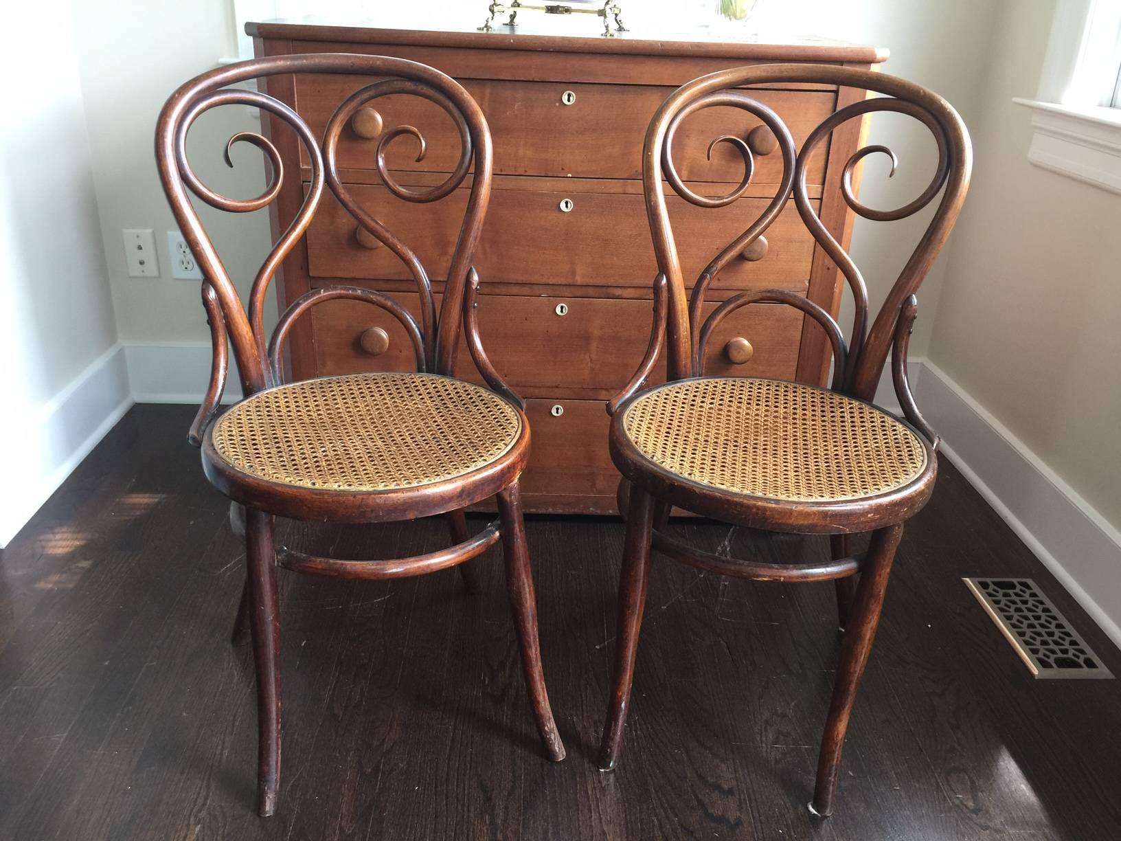 20th Century Set of Ten Turn-of-the-Century Bentwood Dining Chairs by Thonet
