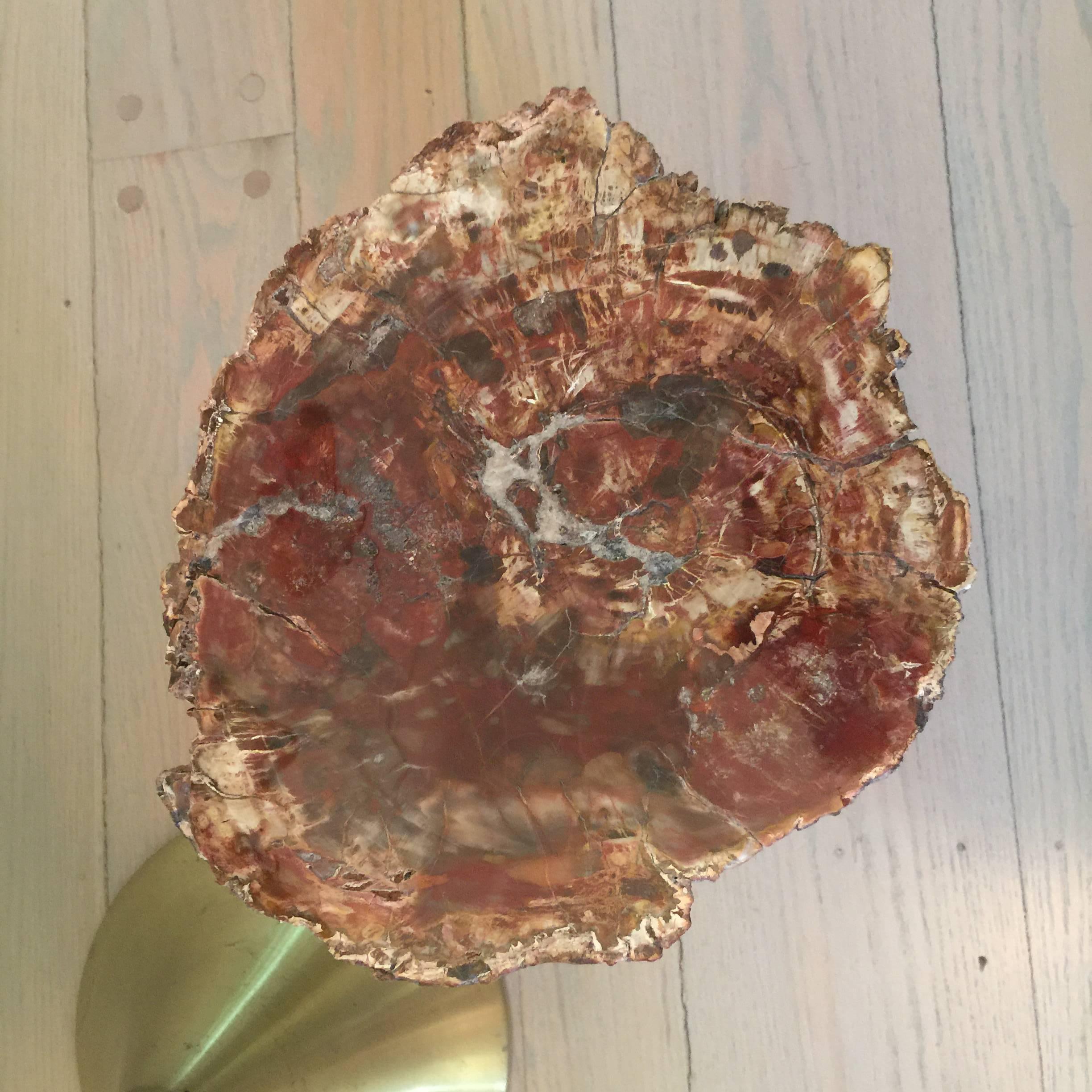 Pair of Solid Brass and Petrified Wood Occasional Tables In Good Condition In East Hampton, NY