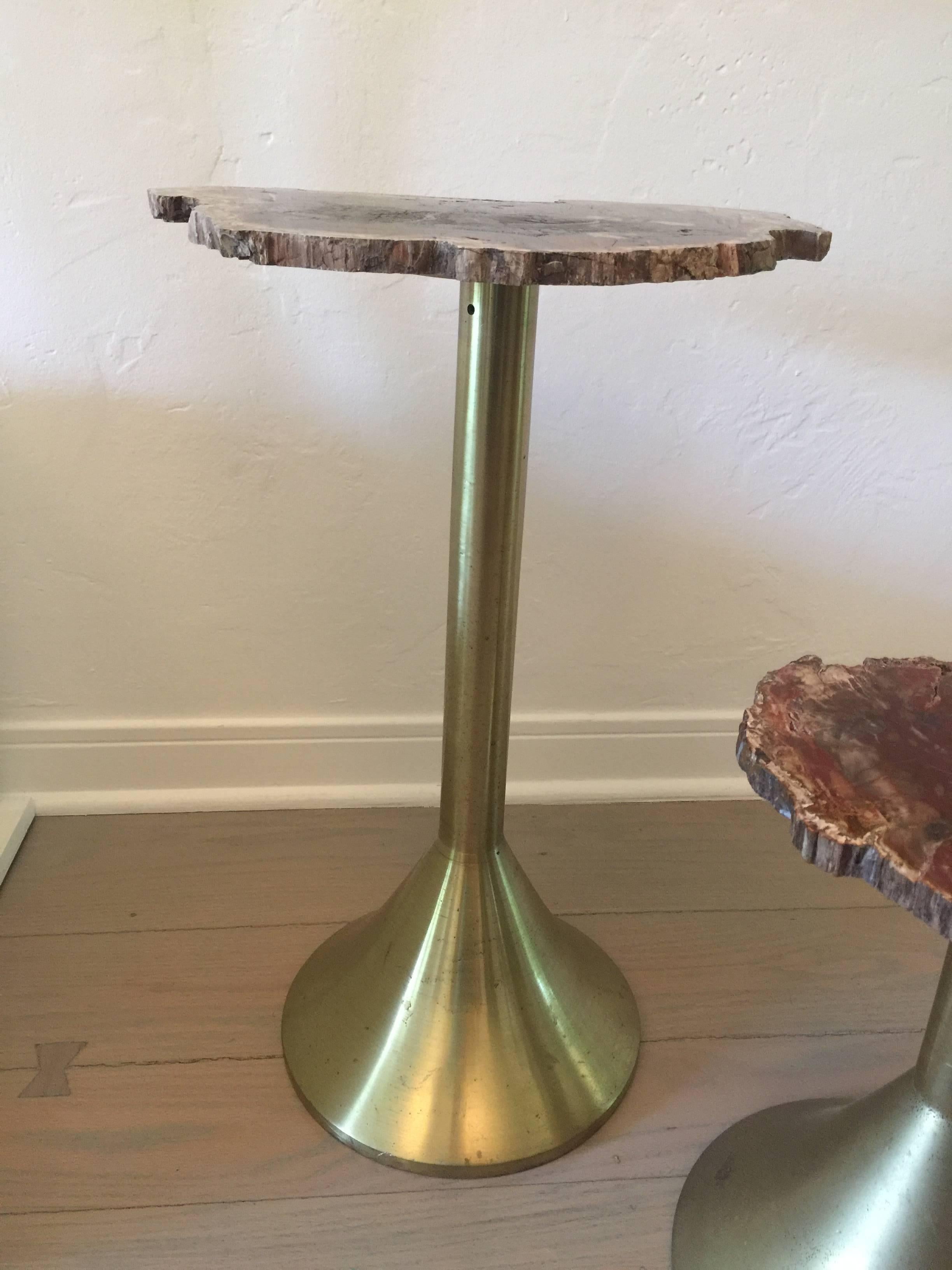 Pair of Solid Brass and Petrified Wood Occasional Tables 1
