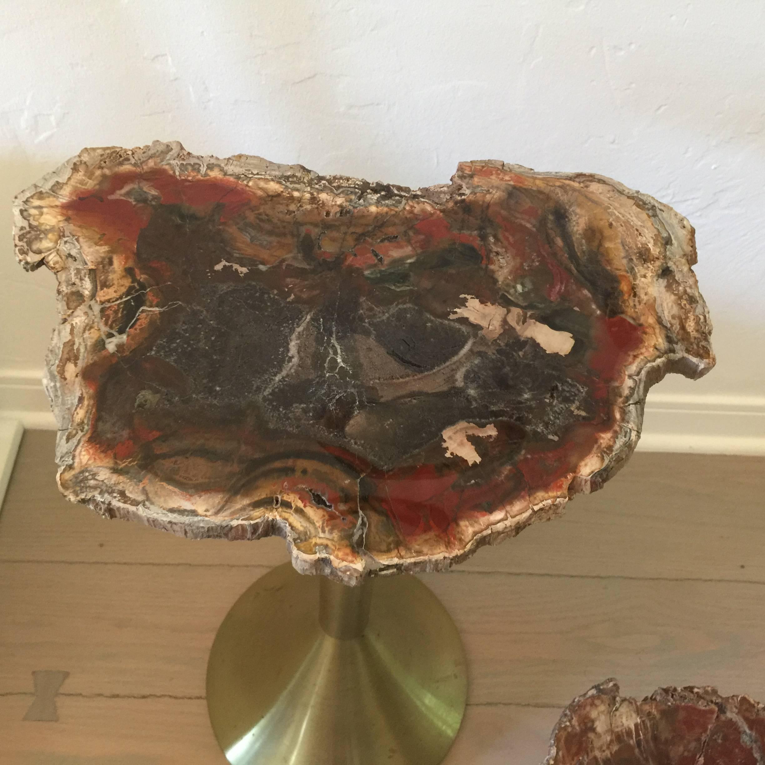 French Pair of Solid Brass and Petrified Wood Occasional Tables