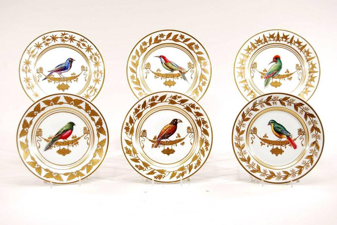 Set of 12 Rouard French Hand-Painted Ornithological Cabinet Plates, after Sevres In Excellent Condition In Great Barrington, MA