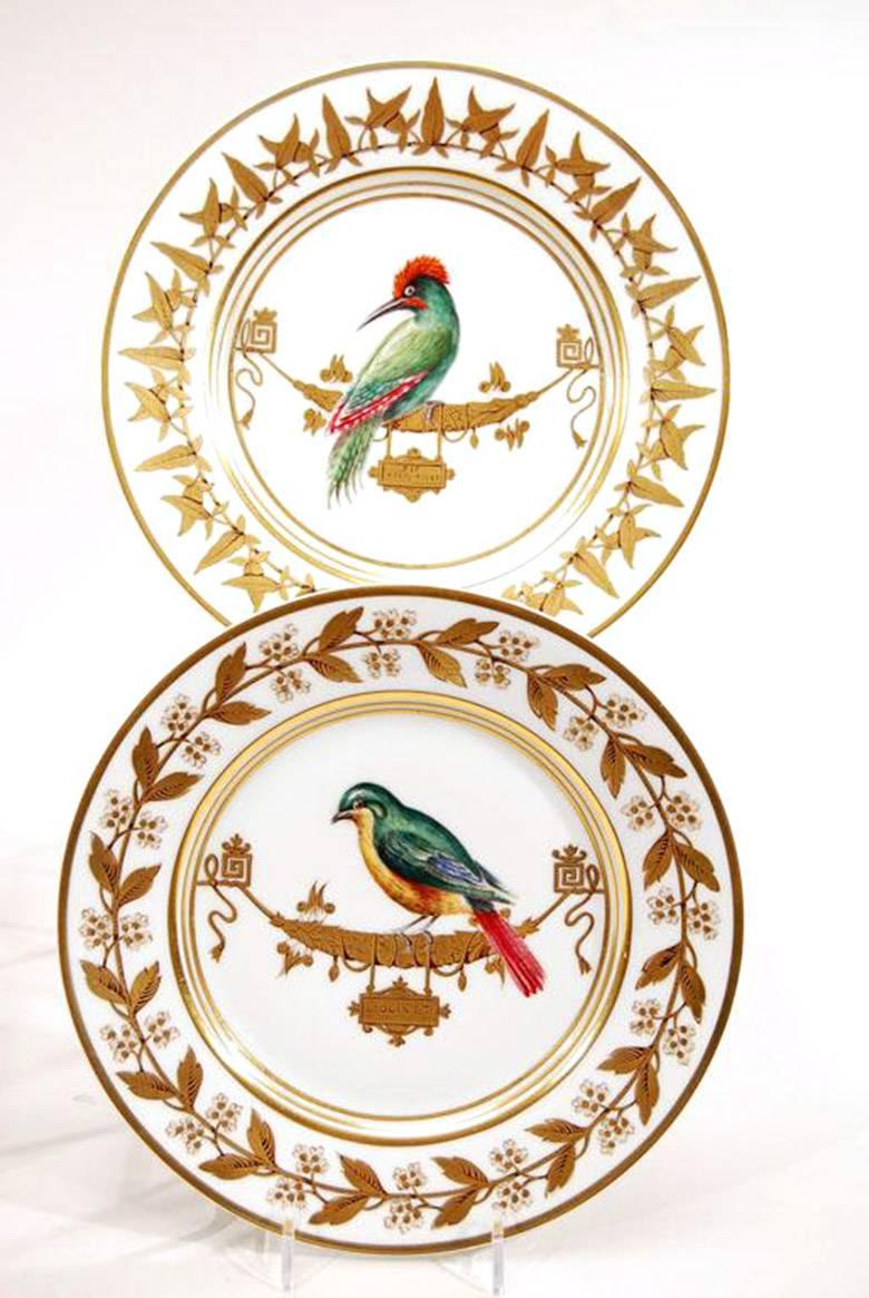 Early 20th Century Set of 12 Rouard French Hand-Painted Ornithological Cabinet Plates, after Sevres