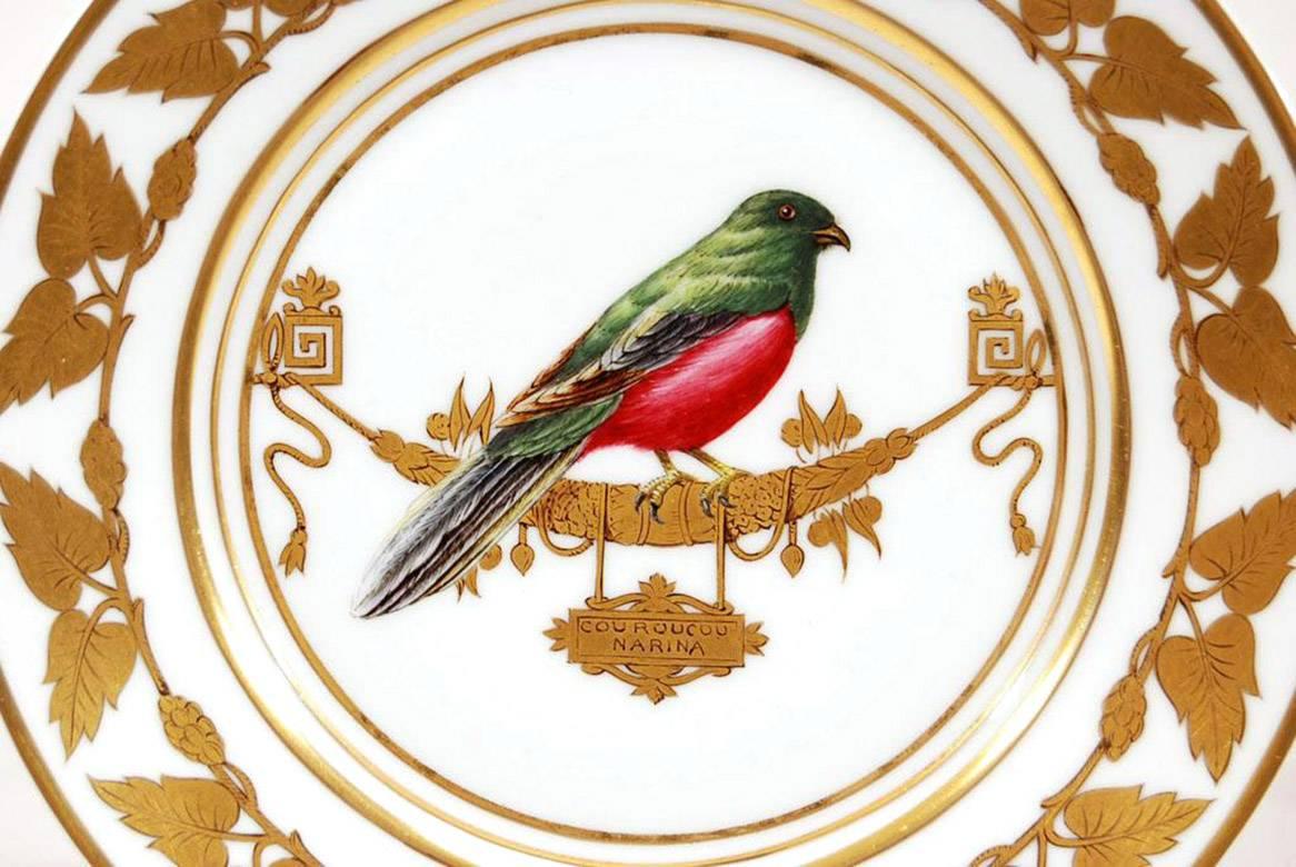 Set of 12 Rouard French Hand-Painted Ornithological Cabinet Plates, after Sevres 1