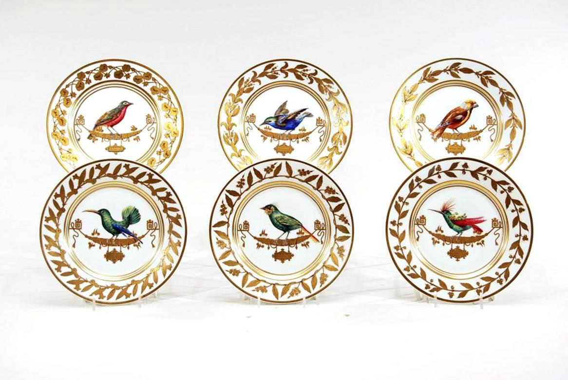 This is a remarkable set of 12 hand-painted ornithological cabinet plates, by the esteemed decorating firm, Rouard in Paris. These detailed and accurately painted subjects depict the birds of South American species, each named on central medallions