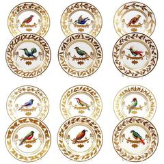 Set of 12 Rouard French Hand-Painted Ornithological Cabinet Plates, after Sevres