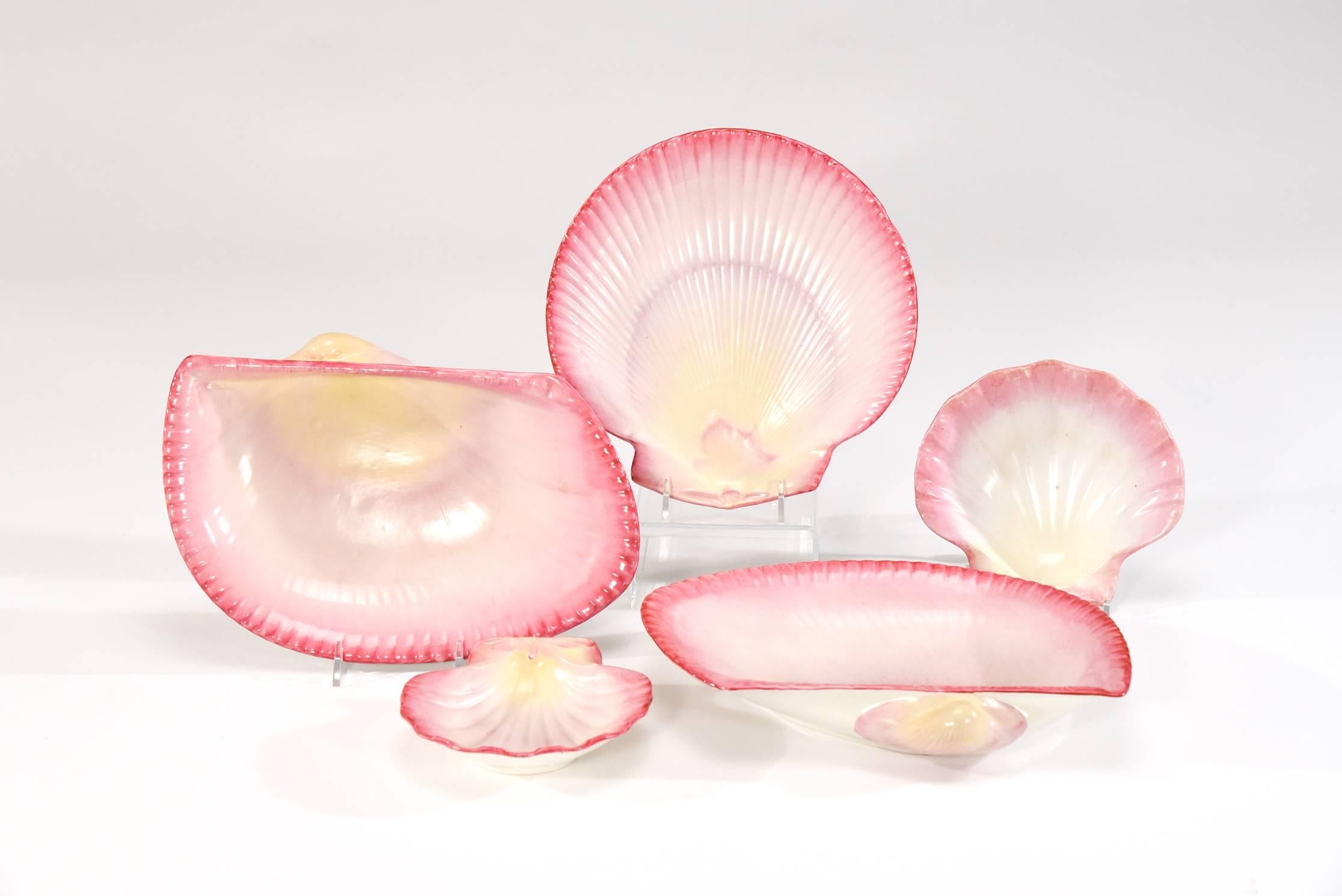 This 19th century Wedgwood dessert service consists of 12 scallop shaped dessert plates, two small scallop shells and two large clam shell plates with a shaded pink glaze that varies on each piece. The molded plates are realistically shaped as