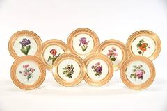 15-Piece Old Paris Dagoty Hand-Painted Botanical Peach and Gold Dessert Set