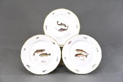 18 Nymphenburg Hand-Painted Fish Plates W/ Named Fish Platter & 2 Serving Bowls