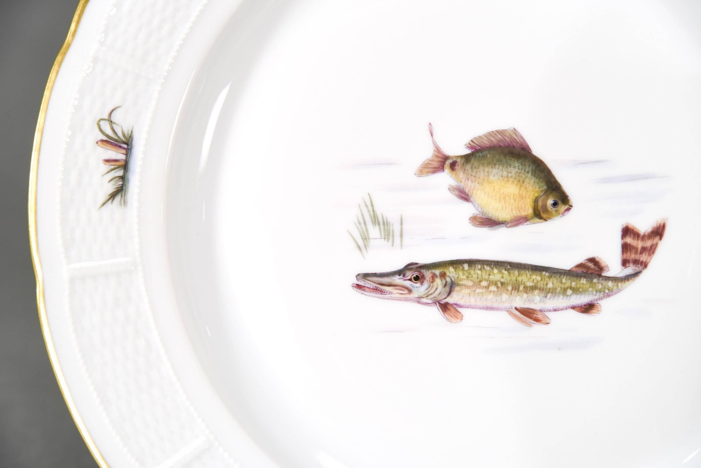 18 Nymphenburg Hand-Painted Fish Plates W/ Named Fish Platter & 2 Serving Bowls In Excellent Condition In Great Barrington, MA