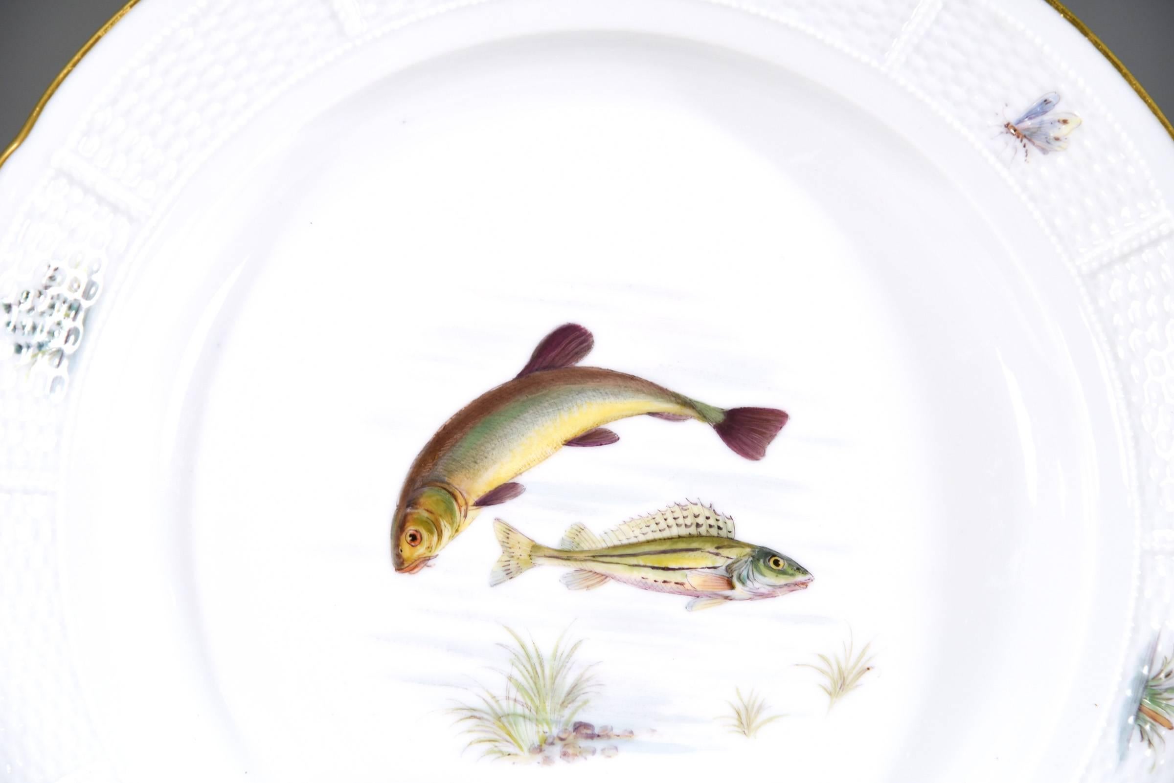 Early 20th Century 18 Nymphenburg Hand-Painted Fish Plates W/ Named Fish Platter & 2 Serving Bowls