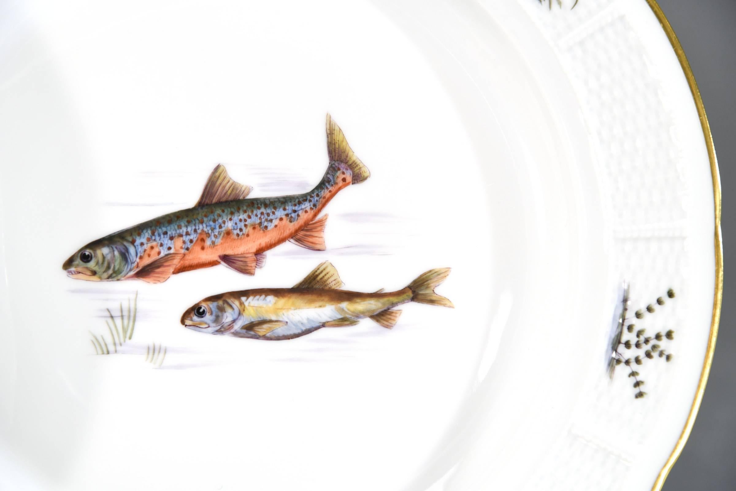 Porcelain 18 Nymphenburg Hand-Painted Fish Plates W/ Named Fish Platter & 2 Serving Bowls